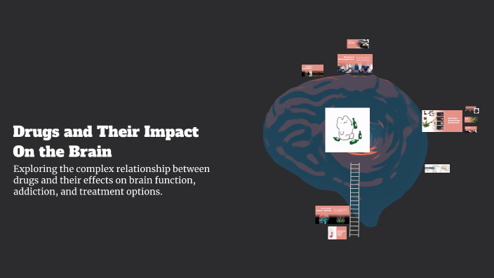 Drugs and Their Impact On the Brain by Ashley Foster on Prezi