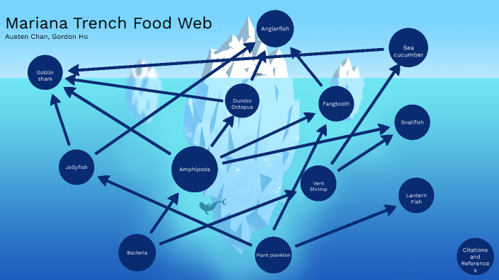 mariana-trench-food-web-by-austen-chan-on-prezi