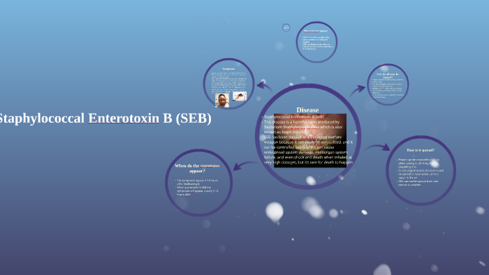 Staphylococcal Enterotoxin B (SEB) By Arnie Vargas On Prezi