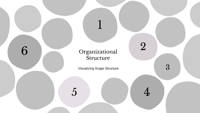 Organizational Structure by Adina Miterici on Prezi