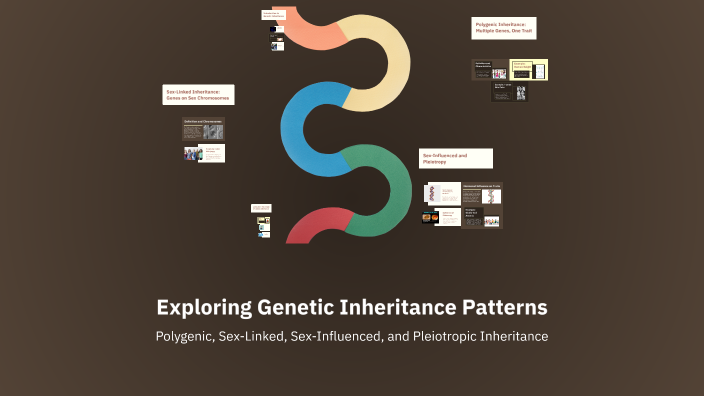 Exploring Genetic Inheritance Patterns by Eleneth Palencia on Prezi