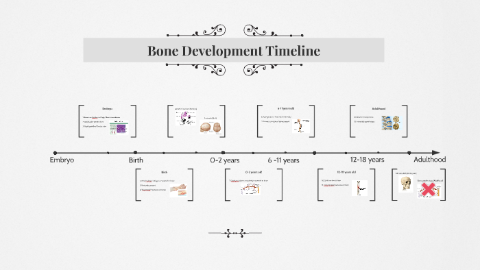 bone-development-timeline-by-kiera-showalter-on-prezi