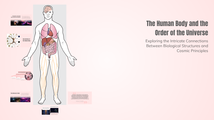 The Human Body and the Order of the Universe by Salim Yaman on Prezi