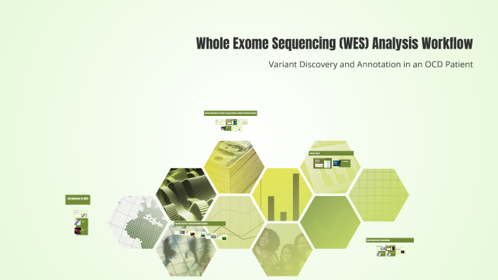Whole Exome Sequencing (WES) Analysis Workflow by Pradyumna sagar on Prezi