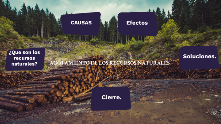 AGOTAMIENTO DE LOS RECURSOS NATURALES by Pablo Ignacio Navarrete Campos