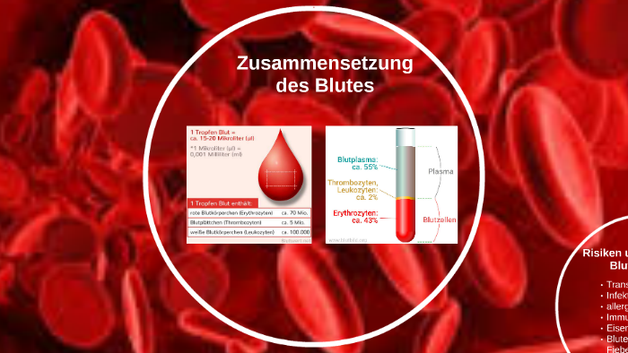 Zusammensetzung des Blutes by Johanna Ens on Prezi