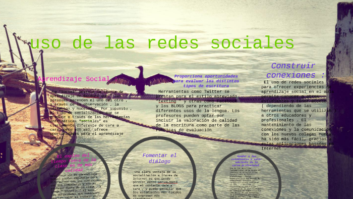 uso de las redes sociales by angie marquez on Prezi