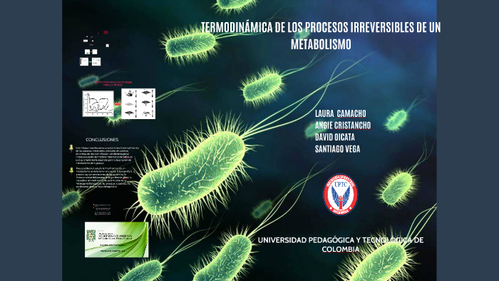 TERMODINÁMICA DE LOS PROCESOS IRREVERSIBLES DE UN METABOLISM by ...