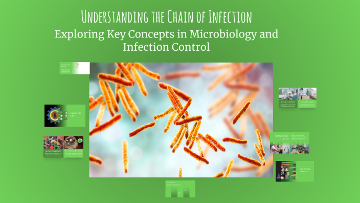 Understanding the Chain of Infection by Yasmine Ashraf on Prezi