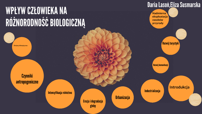 Sprawdzian Z Biologii Roznorodnosc Biologiczna Wpływ człowieka na różnorodność biologiczną by Daria Lasoń on Prezi Next