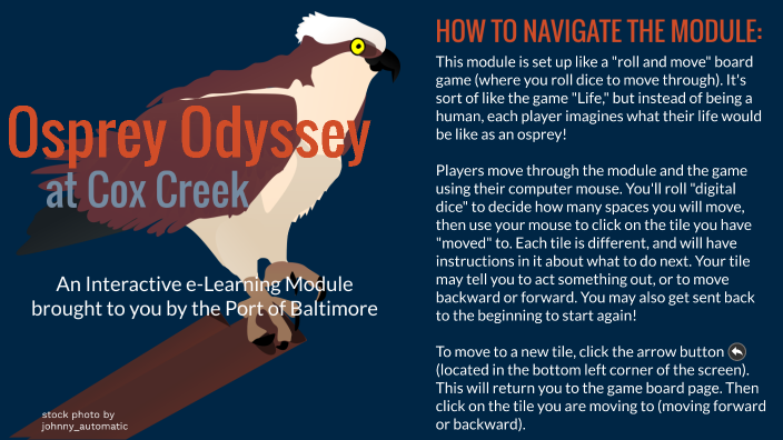 Osprey Odyssey by Laura Baker on Prezi