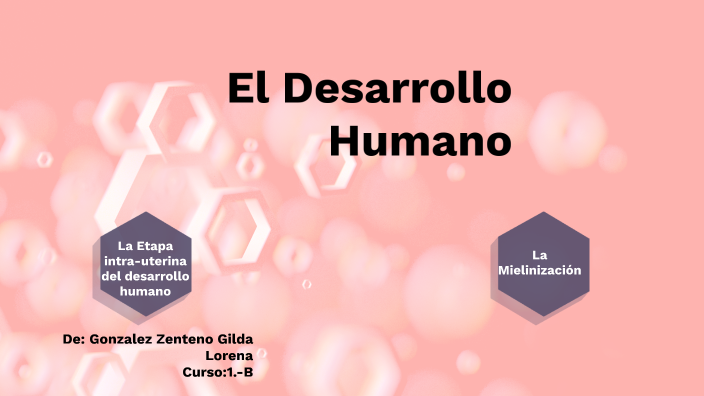Exposición El Desarrollo Humano by Gilda Gonzalez Zenteno on Prezi