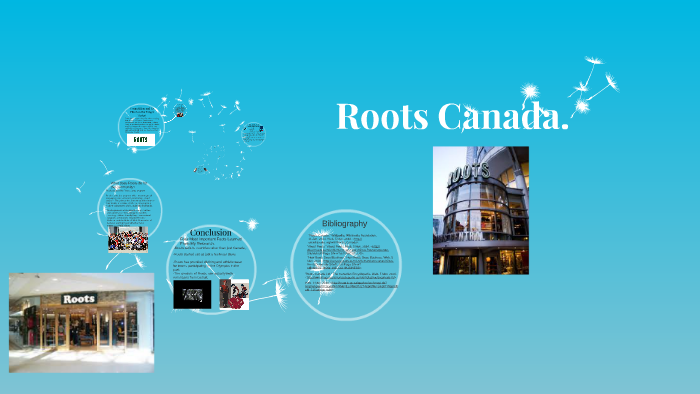 roots canada business plan