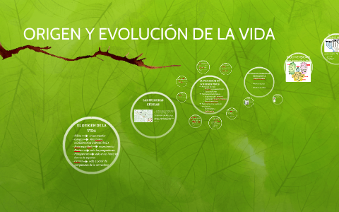 ORIGEN Y EVOLUCIÓN DE LA VIDA by Irene Aldazabal on Prezi