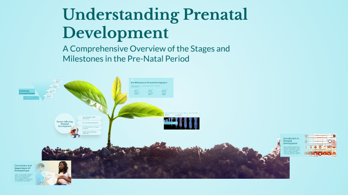 Understanding Prenatal Development by Janelyn Bocar on Prezi