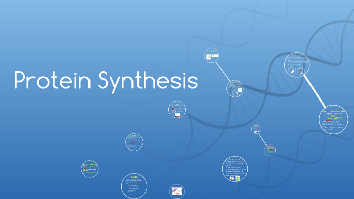 Protein Synthesis by Jeff Nichols on Prezi