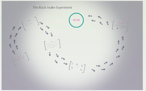 the black snake experiment