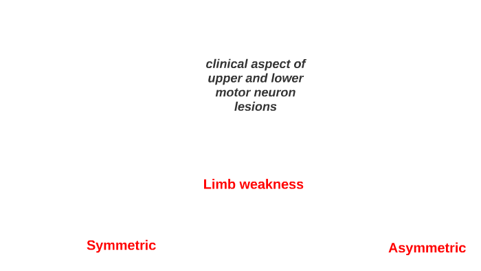 clincal aspect of upper and lower motor neuron lesions by mina alemam ...