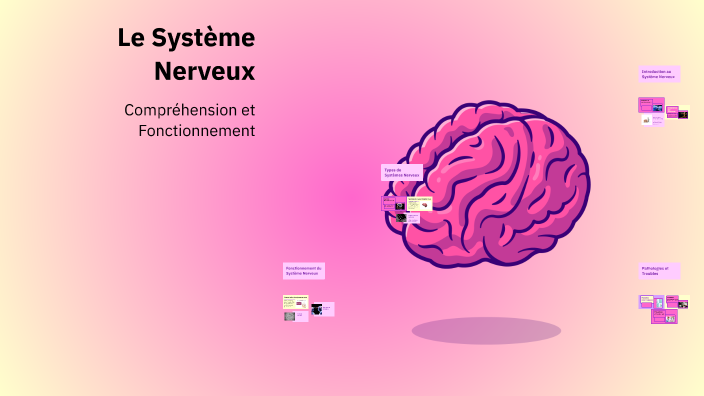 Le Système Nerveux by nouha noucha on Prezi