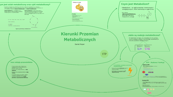 Kierunki Przemian Metabolicznych by Daniel Roepr on Prezi