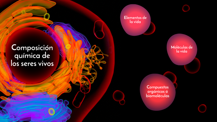 Composición química de los seres vivos by Silvana Rocha on Prezi