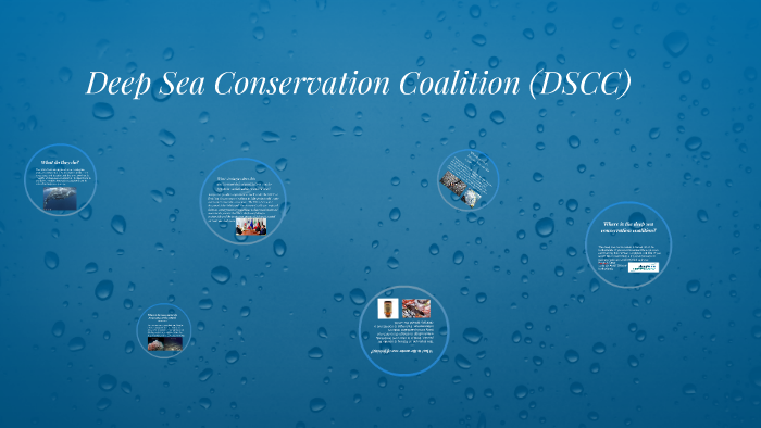 sea conservation by Nolan Peddie