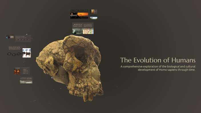 The Evolution of Humans by A. S. on Prezi