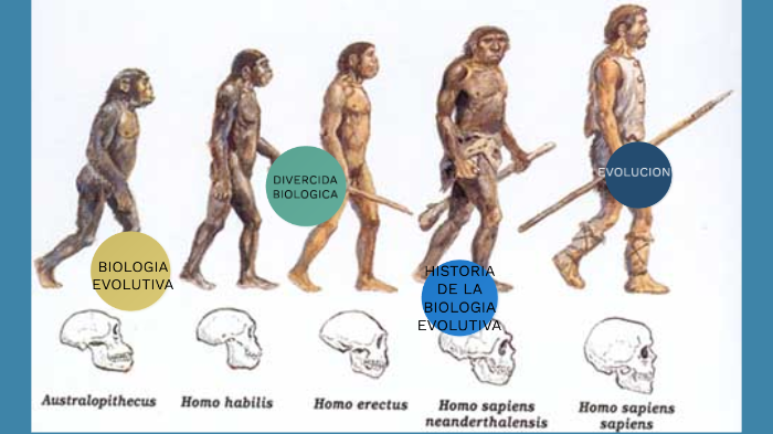 evolución by jesus david cortes urritia on Prezi