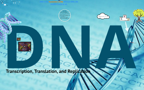 DNA - Replication, Transcription, and Translation by Chris Caseman on Prezi