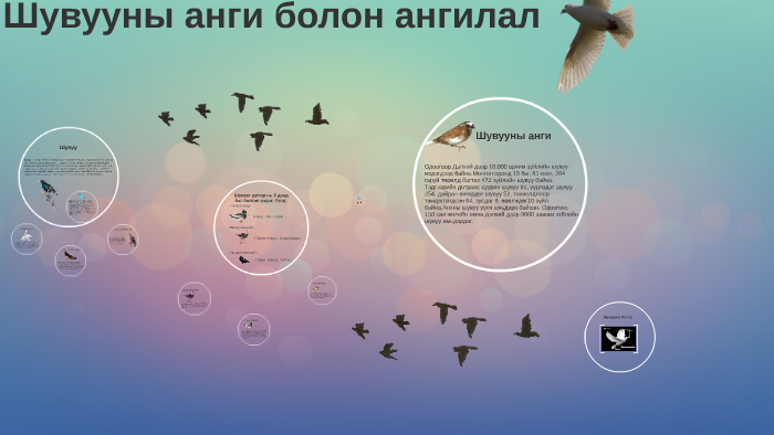 Шувууны анги болон ангилал (11б анги Т.Өсөхбат , Г.Энхбилгүүн ) by ...