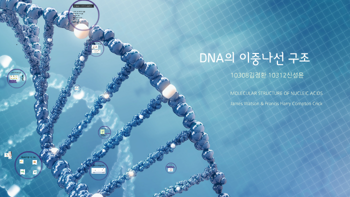DNA의 이중나선 구조 by 정환 김 on Prezi