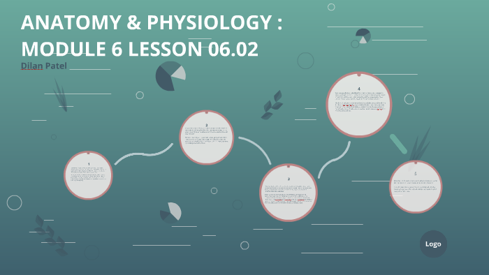 ANATOMY & PHYSIOLOGY : MODULE 6 LESSON 06.02 By Dilan Patel On Prezi