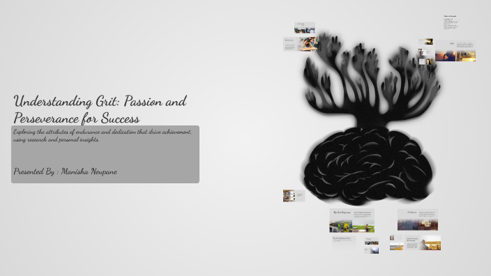 Understanding Grit Understanding Grit: Passion and Perseverance for Success by Ankrit ...