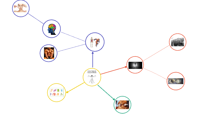 corps naturel, corps artificiel by meline vuillet on Prezi