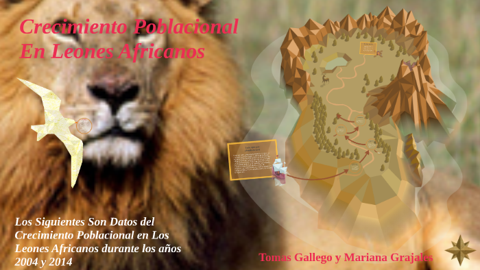 crecimiento poblacional en leones africanos by mariana grajales on Prezi  Next
