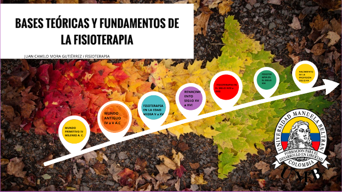 BASES TEÓRICAS Y FUNDAMENTOS DE LA FISIOTERAPIA By Juan Camilo ...