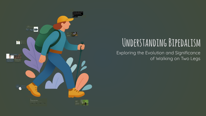 Understanding Bipedalism by Nadia Chibane on Prezi