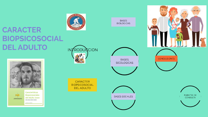 Carácter biopsicosocial del adulto by Yulisa Agripina Crisóstomo Mauricio