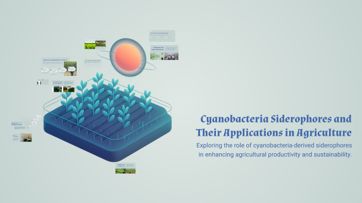 Cyanobacteria Siderophores and Their Applications in Agriculture by ...