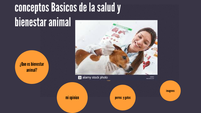 Conceptos Basicos De La Salud Y El Bienestar Animal By Jessik Jimenes ...