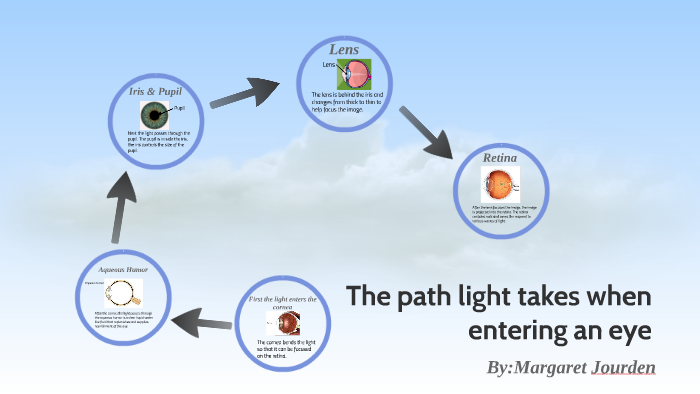 The Path Light Takes When Entering An Eye By Margaret Jourden