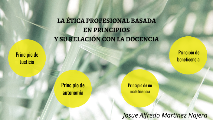 A2-IIP-Analisis de la ETICA PROFESIONAL Y CAMPO DE ESTUDIO DE LA ETICA
