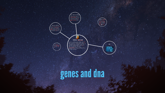 genes and dna by James Robinson on Prezi