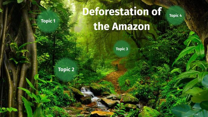 Deforestation in the Amazon by Katsa on Prezi