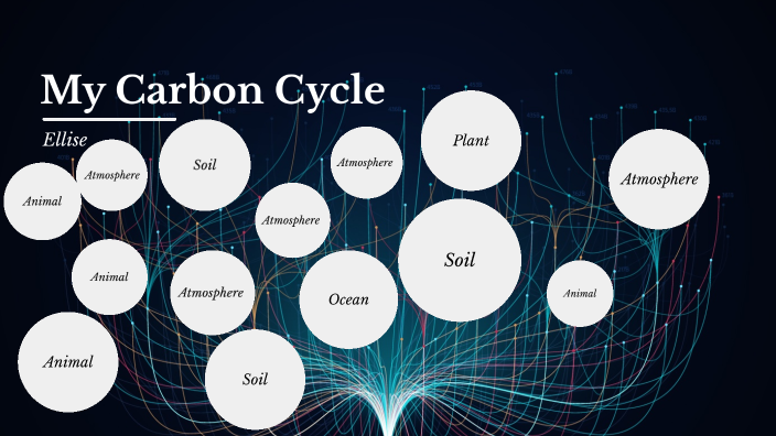 carbon cycle by Ellise Sutherland on Prezi