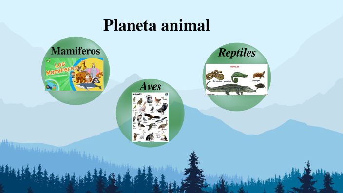 Los amimales by Edil Fernando Lopez Cardenas on Prezi