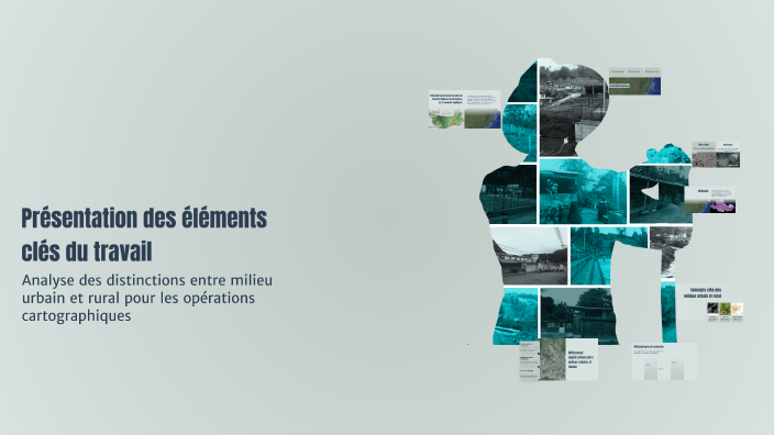 Présentation des éléments clés du travail by orange on Prezi