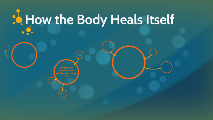 How the Body Heals Itself by Heysil Baez