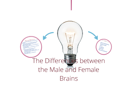 Differences between the male and female brains by Kemish Estrada on Prezi