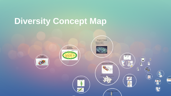 Diversity Concept Map by Natalie Joyes on Prezi